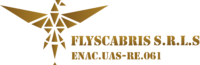 Scuola Droni Flyscabris SRLS Logo